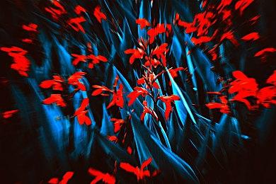 《DOTA2》TI11结束 Tundra 3:0战胜秘密夺冠